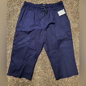 Only Necessities Size 24 Navy Capri Pants
